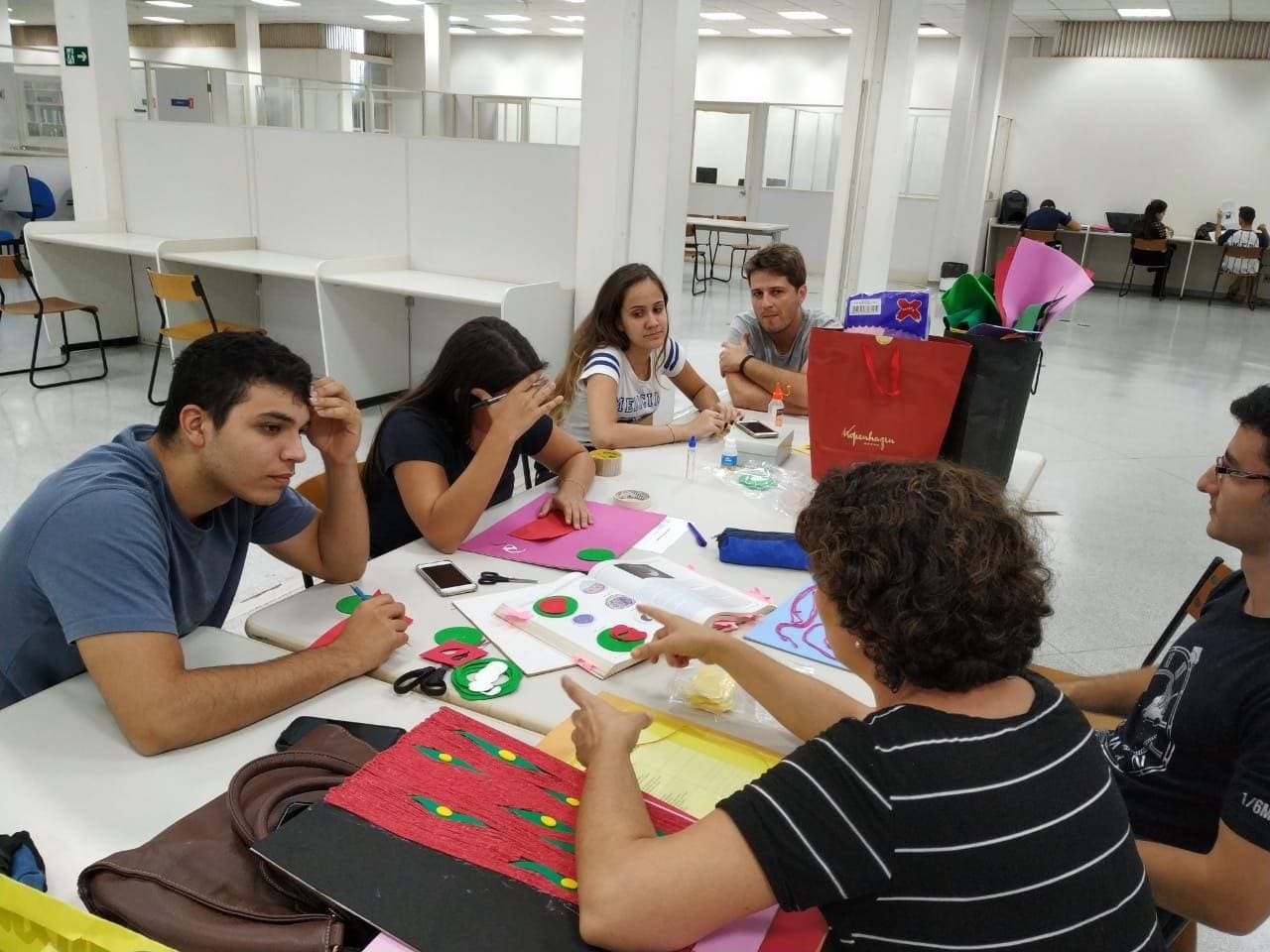 Imagem representando Alunos fazendo montagem das pranchas dos diferentes tecidos